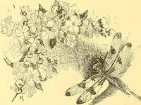 Picture 87 of 407 from American art and American art collections; essays on artistic subjects (1889), leaf 111