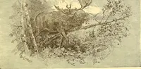 Picture 93 of 407 from American art and American art collections; essays on artistic subjects (1889), leaf 120
