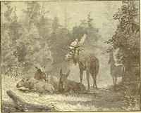 Picture 94 of 407 from American art and American art collections; essays on artistic subjects (1889), leaf 120