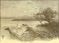 Picture 115 of 407 from American art and American art collections; essays on artistic subjects (1889), leaf 140