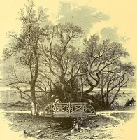 Picture 116 of 407 from American art and American art collections; essays on artistic subjects (1889), leaf 141