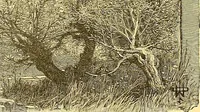 Picture 121 of 407 from American art and American art collections; essays on artistic subjects (1889), leaf 147