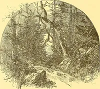 Picture 123 of 407 from American art and American art collections; essays on artistic subjects (1889), leaf 151