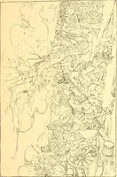 Picture 140 of 407 from American art and American art collections; essays on artistic subjects (1889), leaf 184