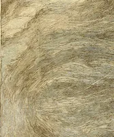 Picture 12 of 407 from American art and American art collections; essays on artistic subjects (1889), leaf 22