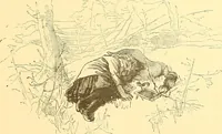 Picture 158 of 407 from American art and American art collections; essays on artistic subjects (1889), leaf 222