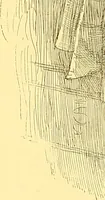 Picture 160 of 407 from American art and American art collections; essays on artistic subjects (1889), leaf 223