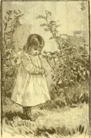 Picture 167 of 407 from American art and American art collections; essays on artistic subjects (1889), leaf 229