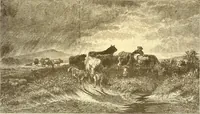 Picture 180 of 407 from American art and American art collections; essays on artistic subjects (1889), leaf 248