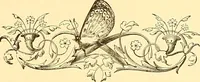 Picture 182 of 407 from American art and American art collections; essays on artistic subjects (1889), leaf 250