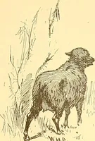 Picture 215 of 407 from American art and American art collections; essays on artistic subjects (1889), leaf 300