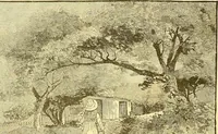 Picture 269 of 407 from American art and American art collections; essays on artistic subjects (1889), leaf 387