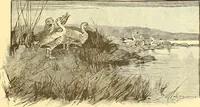 Picture 306 of 407 from American art and American art collections; essays on artistic subjects (1889), leaf 440