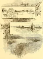 Picture 309 of 407 from American art and American art collections; essays on artistic subjects (1889), leaf 442