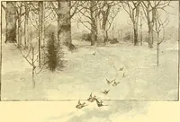 Picture 310 of 407 from American art and American art collections; essays on artistic subjects (1889), leaf 444