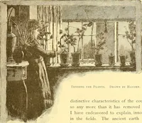 Picture 318 of 407 from American art and American art collections; essays on artistic subjects (1889), leaf 450