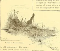 Picture 319 of 407 from American art and American art collections; essays on artistic subjects (1889), leaf 450