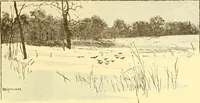 Picture 324 of 407 from American art and American art collections; essays on artistic subjects (1889), leaf 458