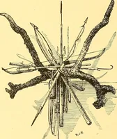 Picture 342 of 407 from American art and American art collections; essays on artistic subjects (1889), leaf 473