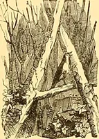 Picture 349 of 407 from American art and American art collections; essays on artistic subjects (1889), leaf 484