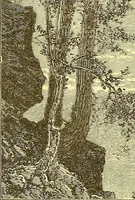 Picture 372 of 407 from American art and American art collections; essays on artistic subjects (1889), leaf 513