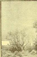 Picture 379 of 407 from American art and American art collections; essays on artistic subjects (1889), leaf 527