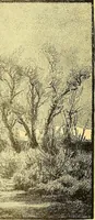 Picture 380 of 407 from American art and American art collections; essays on artistic subjects (1889), leaf 527