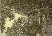 Picture 388 of 407 from American art and American art collections; essays on artistic subjects (1889), leaf 555