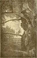Picture 393 of 407 from American art and American art collections; essays on artistic subjects (1889), leaf 562