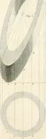 Picture 88 of 115 from The American builder's companion : or, A system of architecture, particularly adapted to the present style of building ; illustrated with seventy copperplate engravings (1827), leaf 215