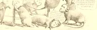 An illustration from American caricatures pertaining to the Civil War (1918)
