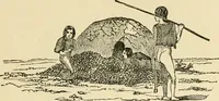 An illustration from The American cottage builder : a series of designs, plans, and specifications, from $200 to $20,000, for homes for the people ; together with warming, ventilation, drainage, painting and landscape gardening (1876)