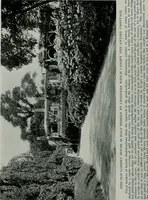 An illustration from American country houses of to-day; an illustrated account of some excellent houses built and gardens planted during the last few years, showing unmistakable influence of the modern trend in ideals architectural (1915)