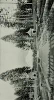 An illustration from American country houses of to-day; an illustrated account of some excellent houses built and gardens planted during the last few years, showing unmistakable influence of the modern trend in ideals architectural (1915)