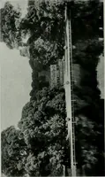 An illustration from American country houses of to-day; an illustrated account of some excellent houses built and gardens planted during the last few years, showing unmistakable influence of the modern trend in ideals architectural (1915)