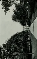 An illustration from American country houses of to-day; an illustrated account of some excellent houses built and gardens planted during the last few years, showing unmistakable influence of the modern trend in ideals architectural (1915)