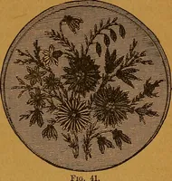 Picture 54 of 170 from The American domestic cyclopædia, a volume of universal ready reference for American women in American homes (1890), leaf 110