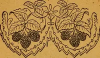 An illustration from The American domestic cyclopædia, a volume of universal ready reference for American women in American homes (1890)
