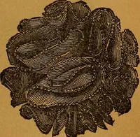 An illustration from The American domestic cyclopædia, a volume of universal ready reference for American women in American homes (1890)