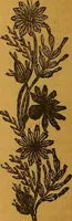 An illustration from The American domestic cyclopædia, a volume of universal ready reference for American women in American homes (1890)