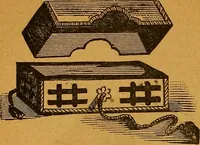An illustration from The American domestic cyclopædia, a volume of universal ready reference for American women in American homes (1890)