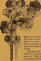 An illustration from The American domestic cyclopædia, a volume of universal ready reference for American women in American homes (1890)