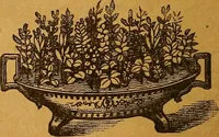 Picture 157 of 170 from The American domestic cyclopædia, a volume of universal ready reference for American women in American homes (1890), leaf 395