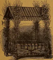Picture 158 of 170 from The American domestic cyclopædia, a volume of universal ready reference for American women in American homes (1890), leaf 396