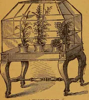 An illustration from The American domestic cyclopædia, a volume of universal ready reference for American women in American homes (1890)