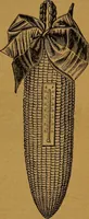 An illustration from The American domestic cyclopædia, a volume of universal ready reference for American women in American homes (1890)