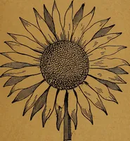 An illustration from The American domestic cyclopædia, a volume of universal ready reference for American women in American homes (1890)