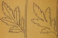 Picture 30 of 170 from The American domestic cyclopædia, a volume of universal ready reference for American women in American homes (1890), leaf 85