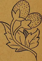 An illustration from The American domestic cyclopædia, a volume of universal ready reference for American women in American homes (1890)