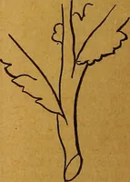 An illustration from The American domestic cyclopædia, a volume of universal ready reference for American women in American homes (1890)